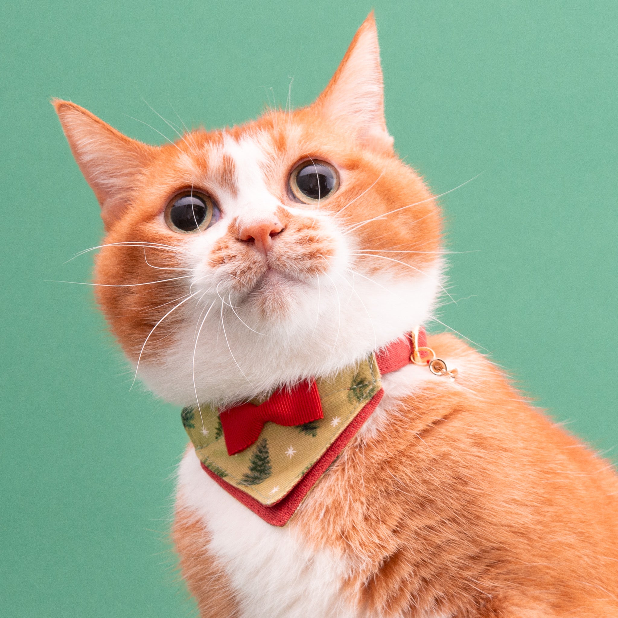 バンダナ付き猫首輪 クリスマスパーティー ノエルツリー｜ぽぽねこ公式