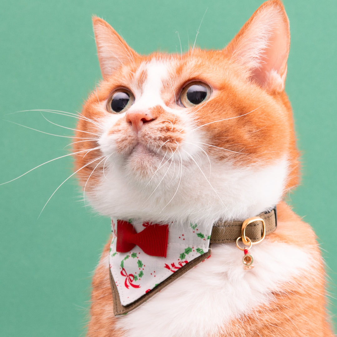 バンダナ付き猫首輪　クリスマスパーティー　リボンリース