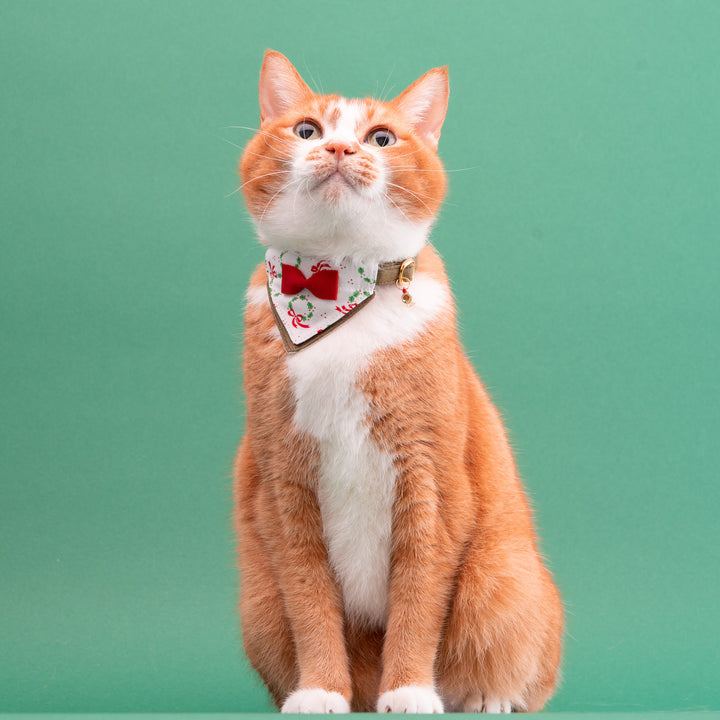 バンダナ付き猫首輪　クリスマスパーティー　リボンリース