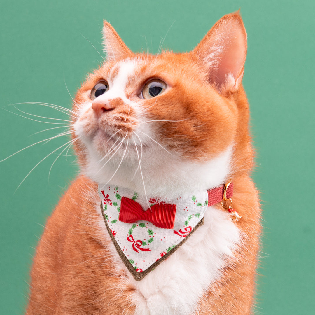 バンダナ付き猫首輪　クリスマスパーティー　リボンリース