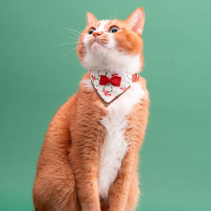 バンダナ付き猫首輪　クリスマスパーティー　リボンリース