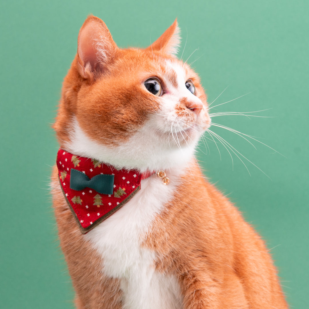 バンダナ付き猫首輪　クリスマスパーティー　レッドノエル
