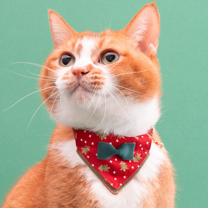 バンダナ付き猫首輪　クリスマスパーティー　レッドノエル
