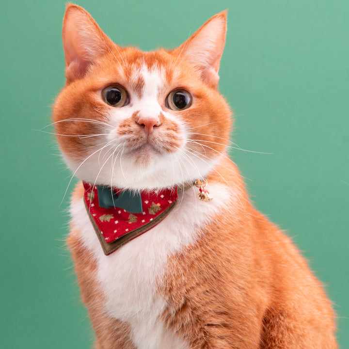 バンダナ付き猫首輪　クリスマスパーティー　レッドノエル