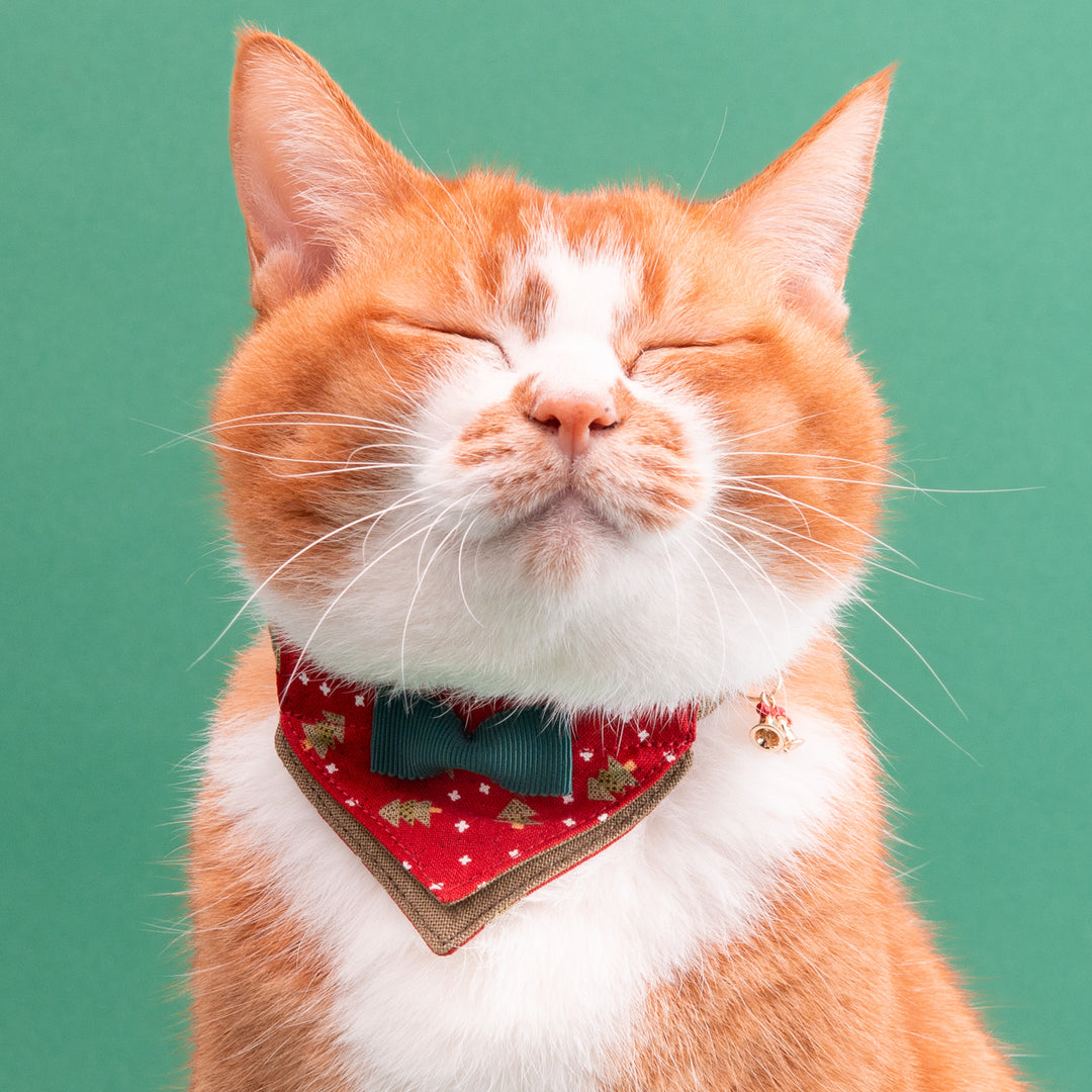 バンダナ付き猫首輪　クリスマスパーティー　レッドノエル