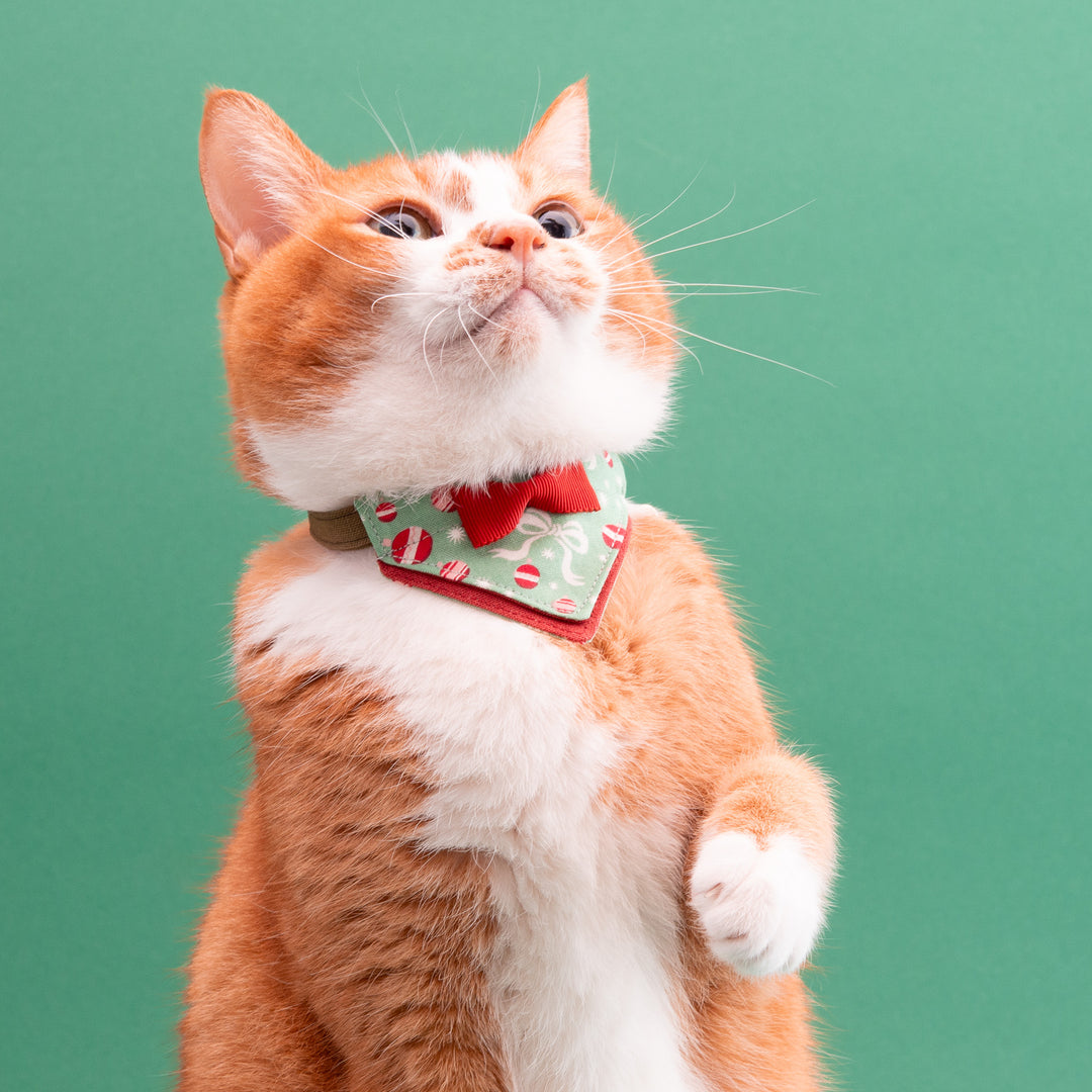 バンダナ付き猫首輪　クリスマスパーティー　ホリデーリボン