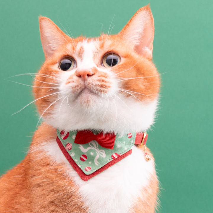 バンダナ付き猫首輪　クリスマスパーティー　ホリデーリボン
