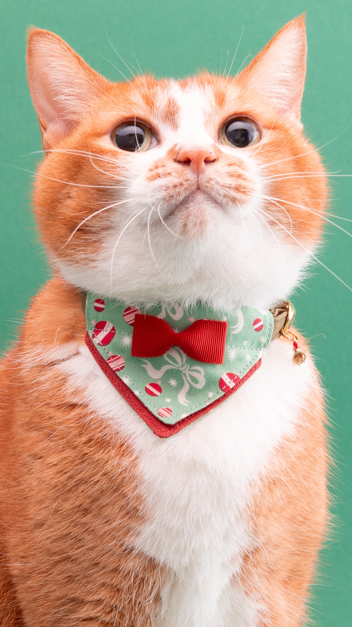 猫首輪クリスマスコレクション