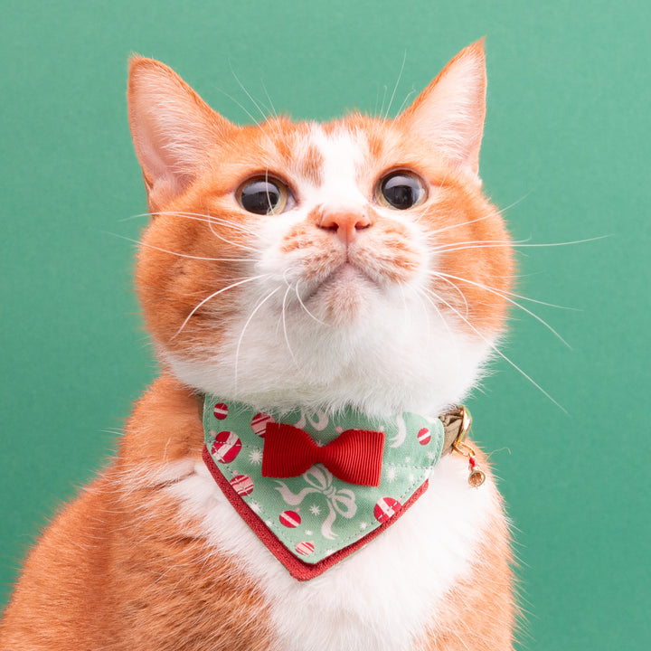 バンダナ付き猫首輪　クリスマスパーティー　ホリデーリボン