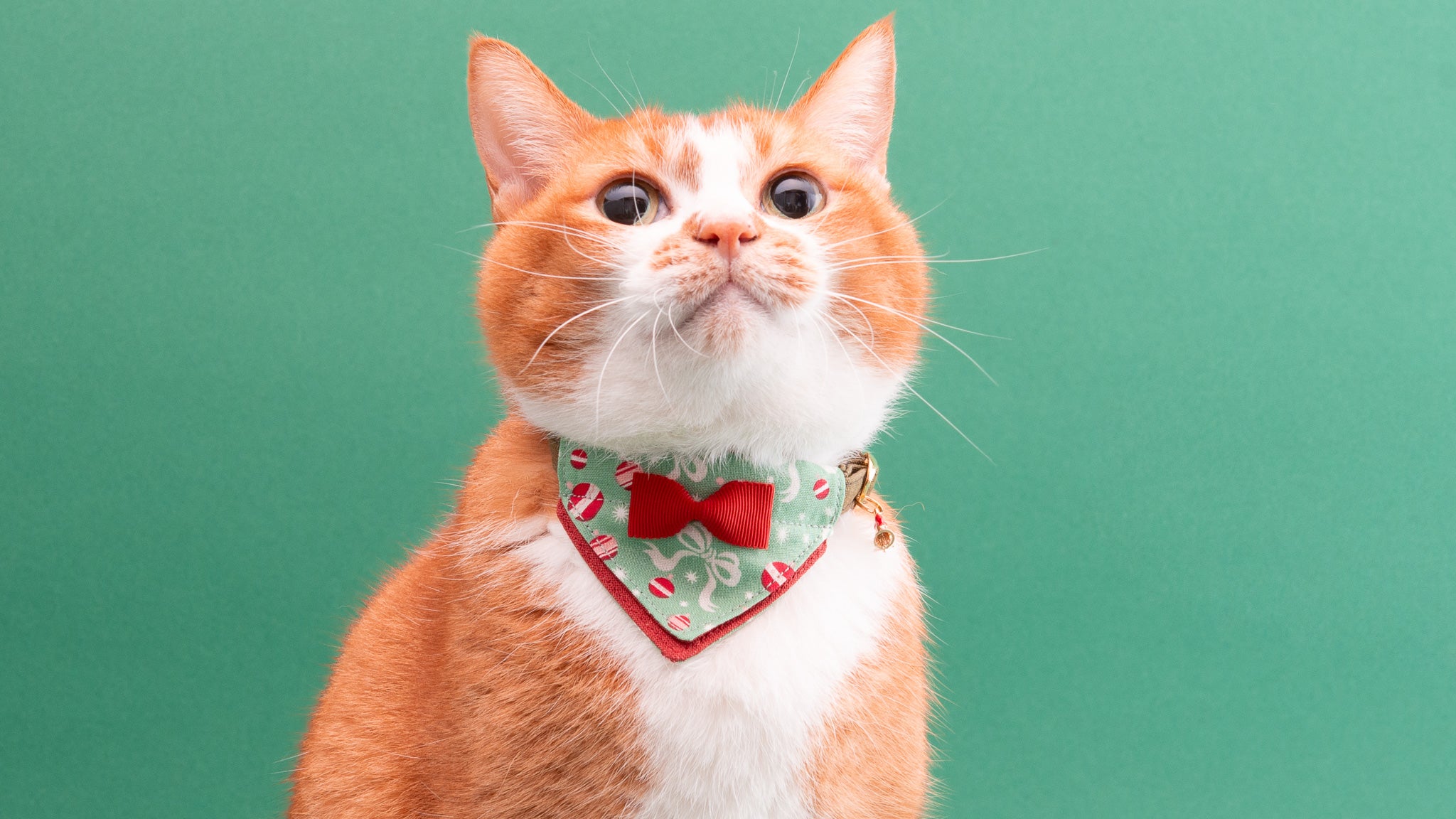 クリスマスシリーズ(赤×白)わんちゃん猫ちゃん用首輪 クリスマス(白