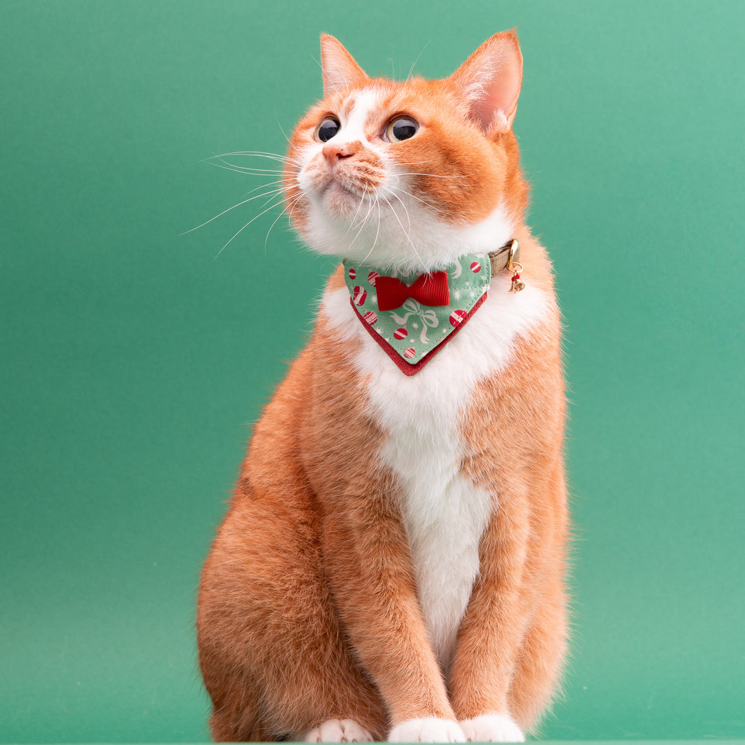バンダナ付き猫首輪　クリスマスパーティー　ホリデーリボン