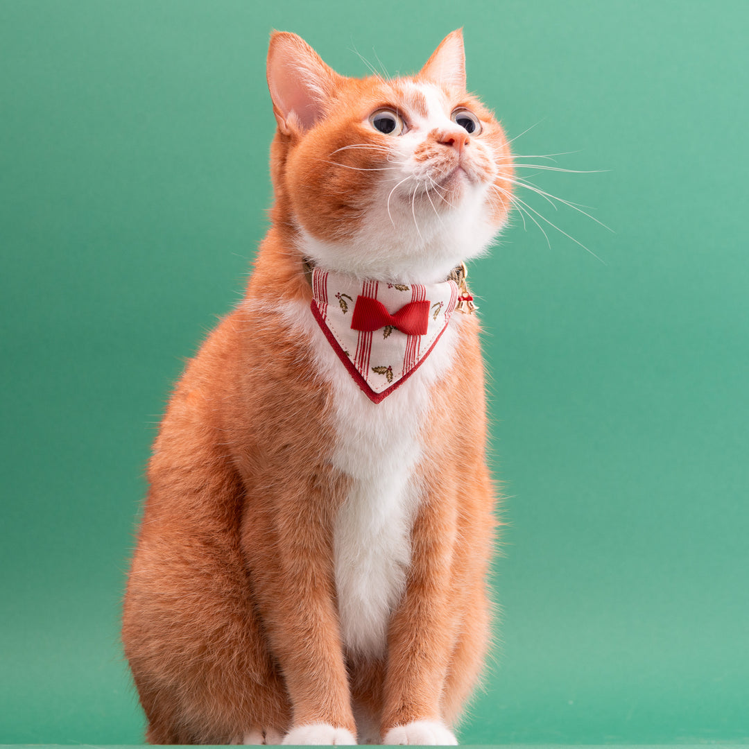 バンダナ付き猫首輪　クリスマスパーティー　ホリデーストライプ