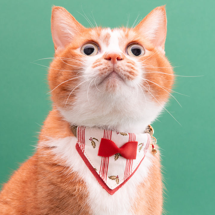 バンダナ付き猫首輪　クリスマスパーティー　ホリデーストライプ