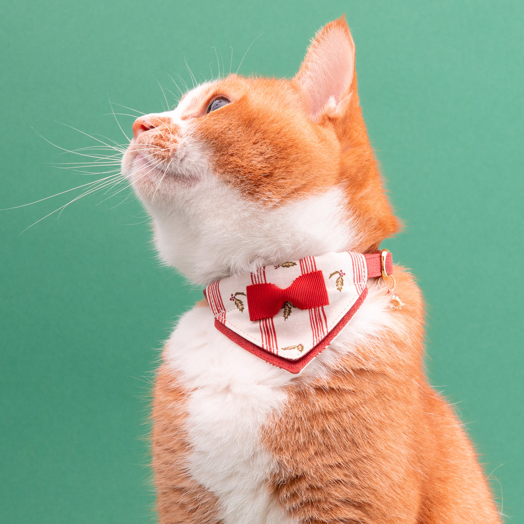 バンダナ付き猫首輪　クリスマスパーティー　ホリデーストライプ
