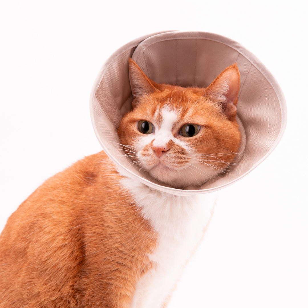 軽くて柔らかい猫用エリザベスカラー　傷口が見えにくいタイプ - ぽぽねこ公式オンラインショップ