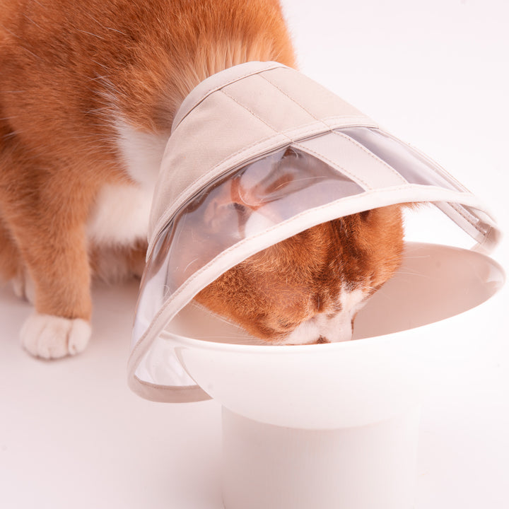 軽くて柔らかい猫用エリザベスカラー　視界良好タイプ - ぽぽねこ公式オンラインショップ