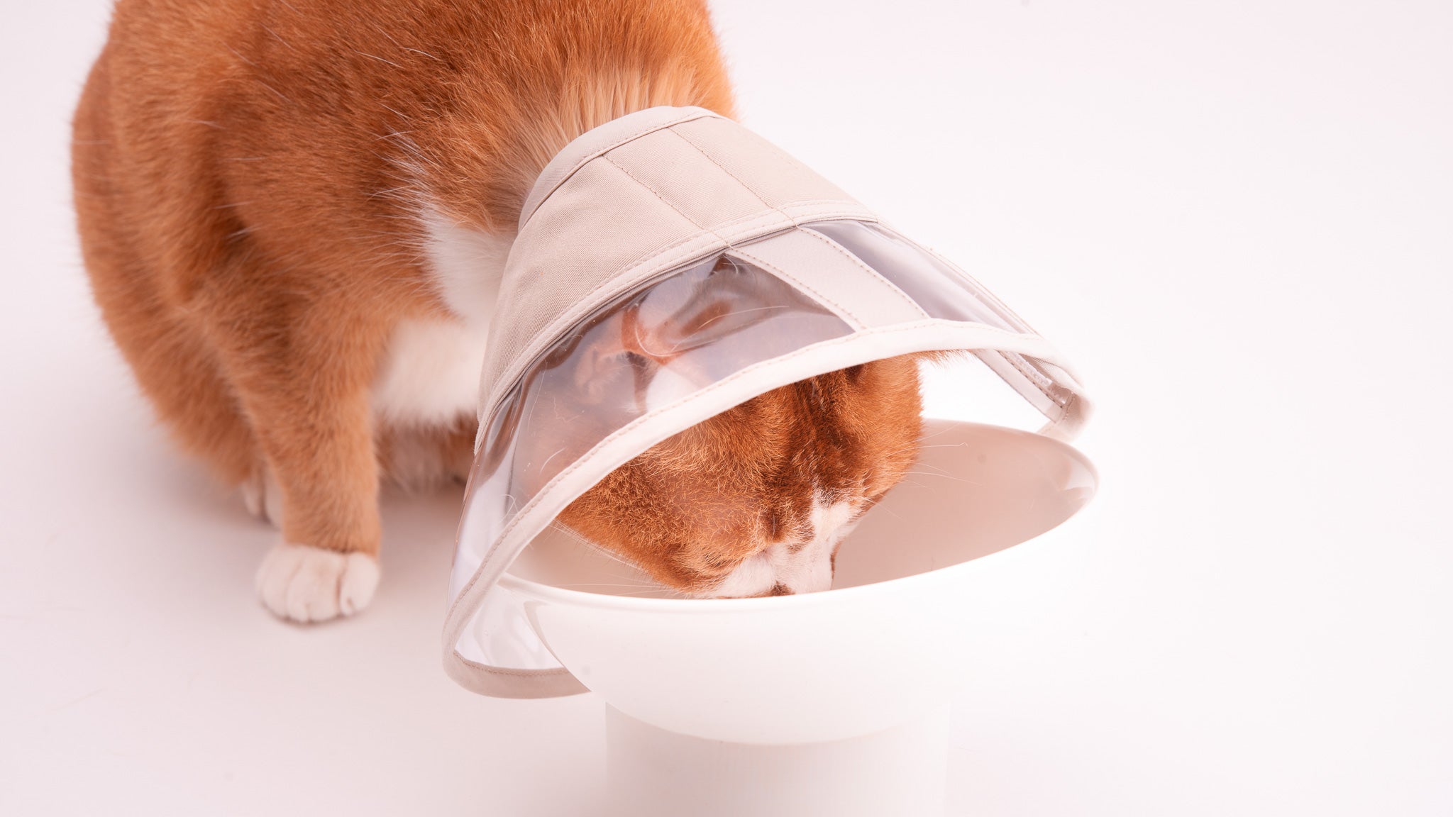ぽぽねこの猫用エリザベスカラーの特徴とこだわりについて – ぽぽねこ