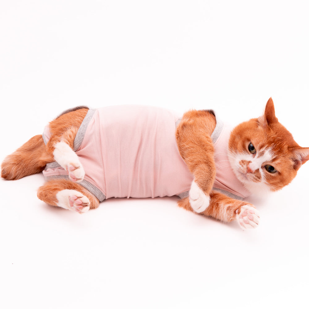 猫に優しい猫服　術後服（ロンパース）【新モデル】 - ぽぽねこ公式オンラインショップ