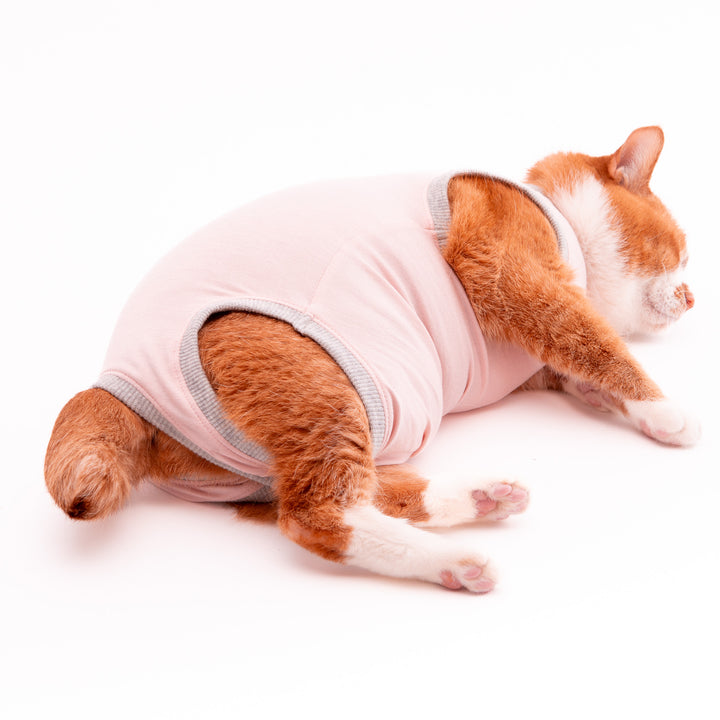 猫に優しい猫服　術後服（ロンパース）【新モデル】 - ぽぽねこ公式オンラインショップ
