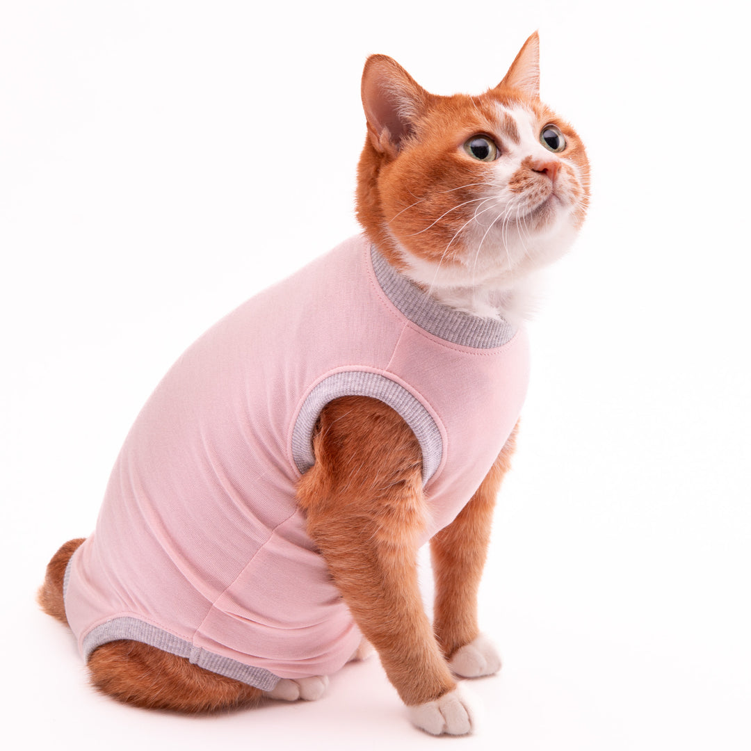 猫に優しい猫服　術後服（ロンパース）【新モデル】 - ぽぽねこ公式オンラインショップ