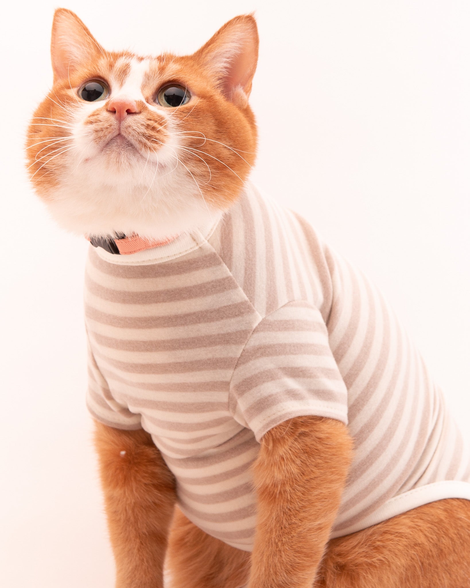 猫服・術後服｜嫌がらない！舐め壊し・寒さ対策に優しい猫用保護服｜ぽ