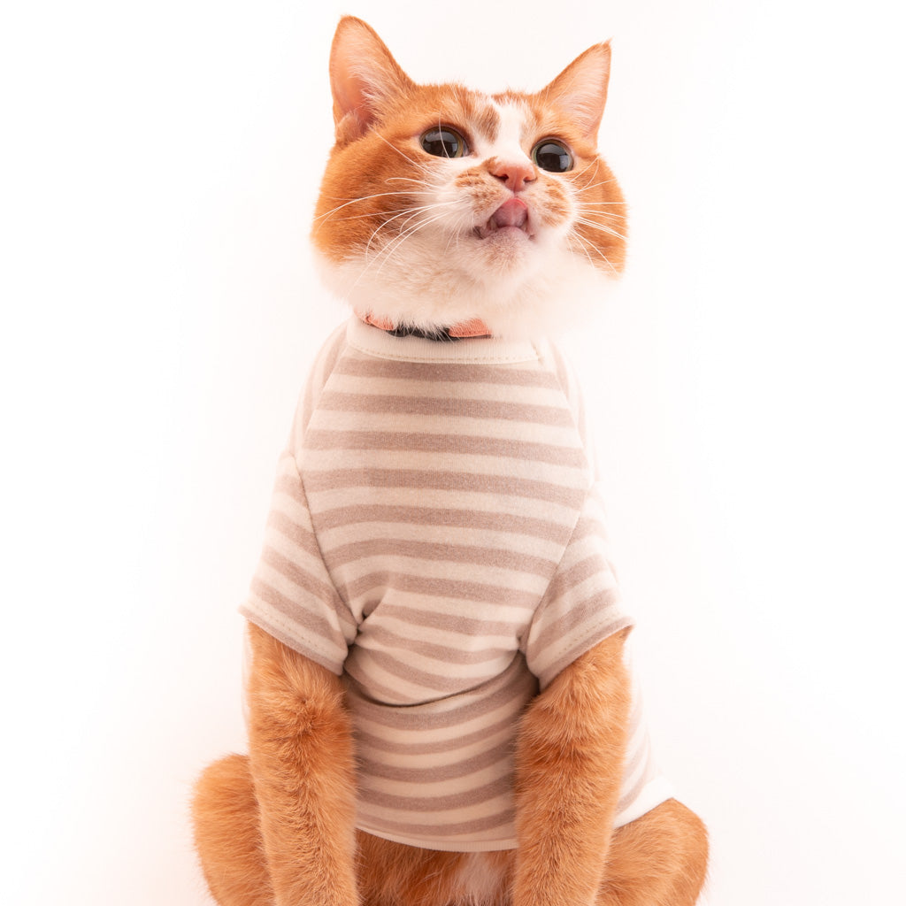 【訳あり20%off】猫に優しい猫服　キャットウォーム　ボーダー（半袖）オフホワイト
