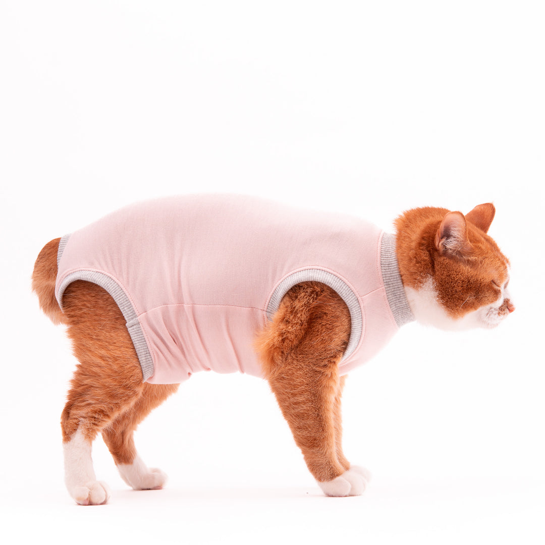 猫に優しい猫服　術後服（ロンパース）【新モデル】 - ぽぽねこ公式オンラインショップ