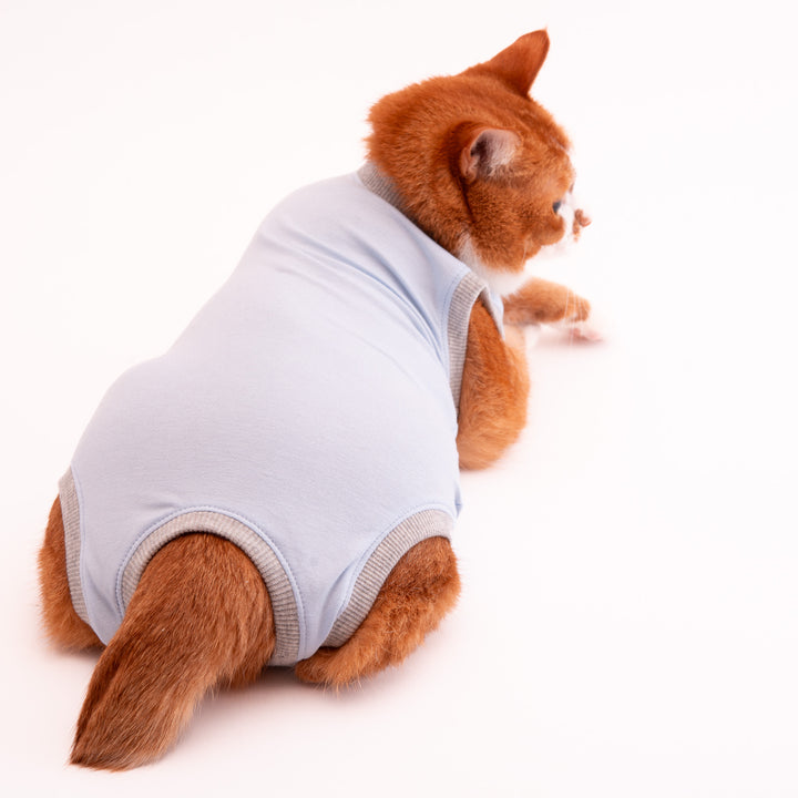 猫に優しい猫服　術後服（ロンパース）【新モデル】 - ぽぽねこ公式オンラインショップ