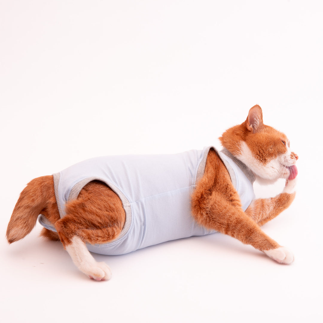 猫に優しい猫服　術後服（ロンパース）【新モデル】 - ぽぽねこ公式オンラインショップ