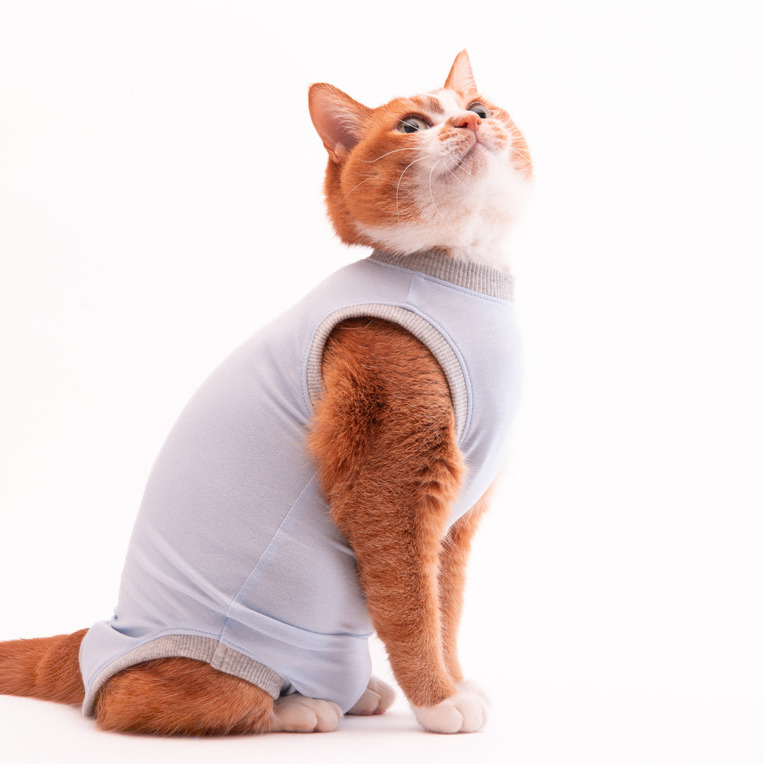 猫に優しい猫服　術後服（ロンパース）【新モデル】 - ぽぽねこ公式オンラインショップ