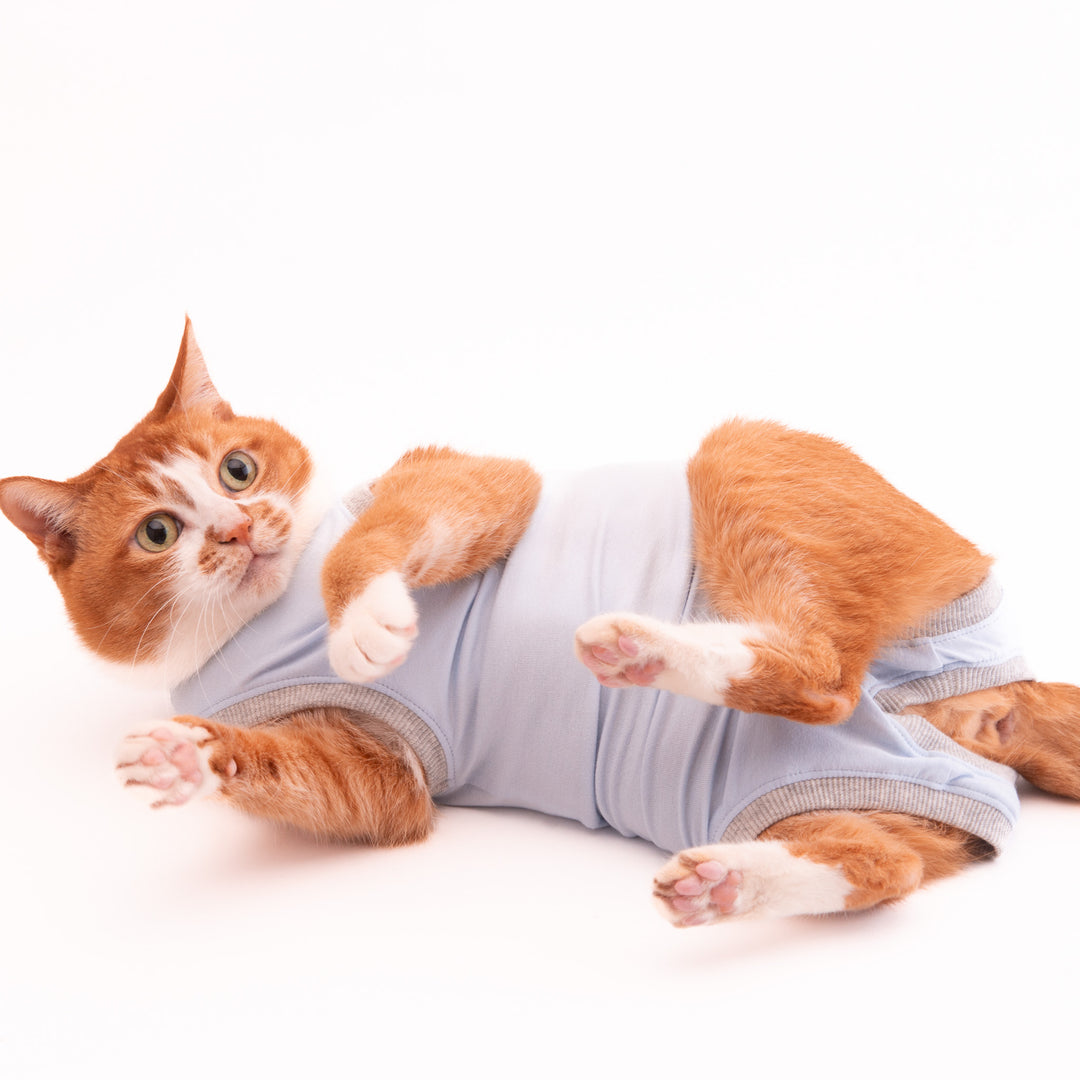 猫に優しい猫服　術後服（ロンパース）【新モデル】 - ぽぽねこ公式オンラインショップ