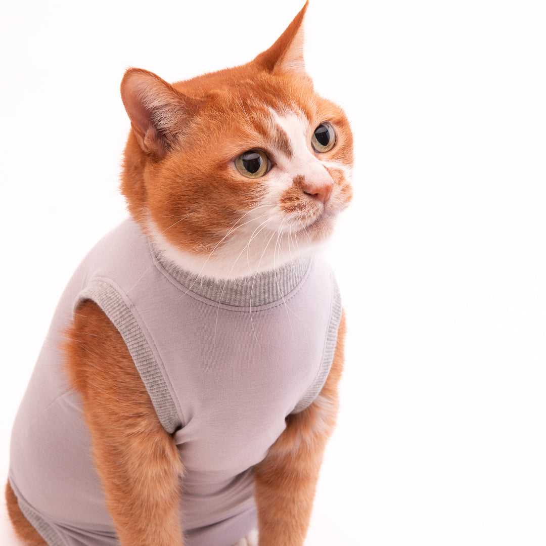 猫に優しい猫服　術後服（ロンパース）【新モデル】 - ぽぽねこ公式オンラインショップ