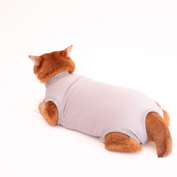 猫に優しい猫服　術後服（ロンパース）【新モデル】 - ぽぽねこ公式オンラインショップ