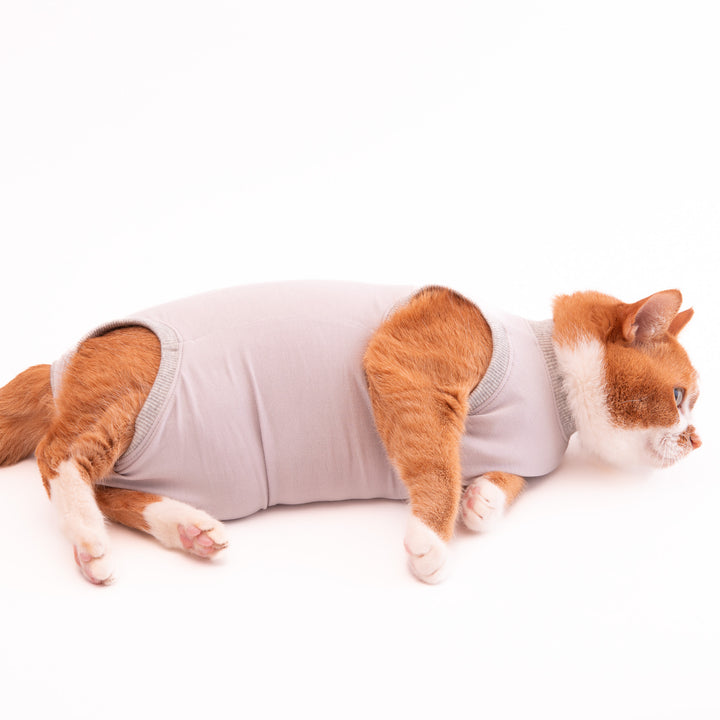 猫に優しい猫服　術後服（ロンパース）【新モデル】 - ぽぽねこ公式オンラインショップ