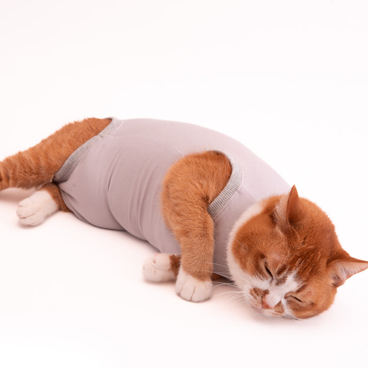 猫に優しい猫服　術後服（ロンパース）【新モデル】 - ぽぽねこ公式オンラインショップ