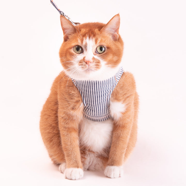 【訳あり10%off】猫に優しいベスト型ハーネス・リード付き　デニム　ヒッコリー【限定モデル】