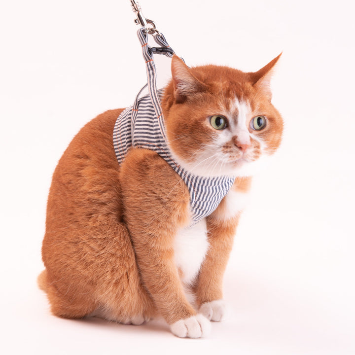 【訳あり10%off】猫に優しいベスト型ハーネス・リード付き　デニム　ヒッコリー【限定モデル】