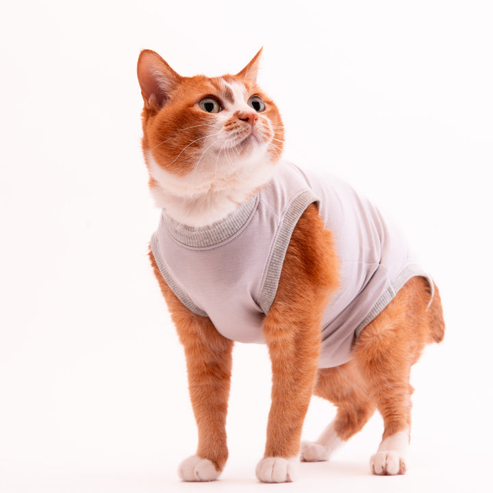 猫に優しい猫服　術後服（ロンパース）【新モデル】 - ぽぽねこ公式オンラインショップ