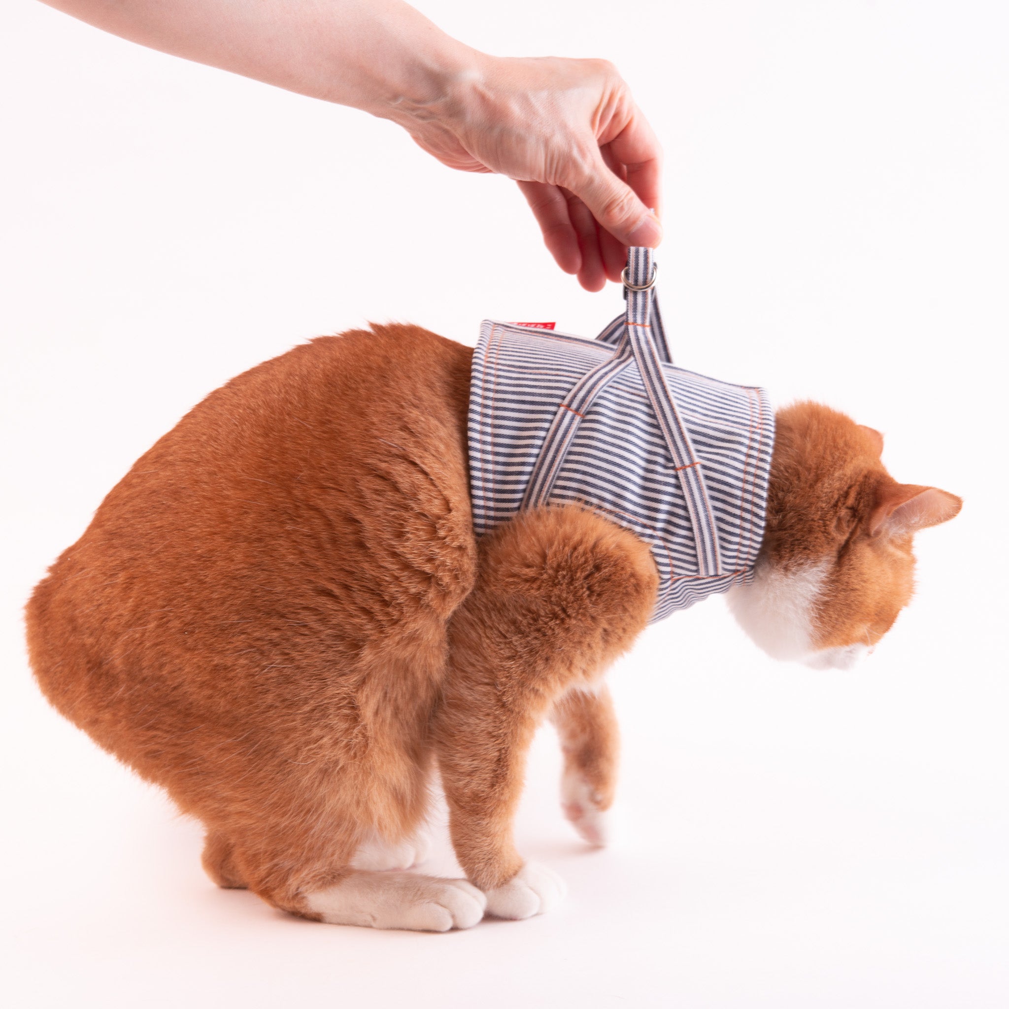 猫に優しいベスト型ハーネス・リード付き デニム ヒッコリー【限定