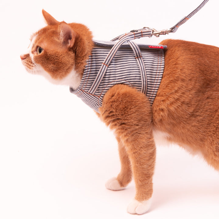 【訳あり10%off】猫に優しいベスト型ハーネス・リード付き　デニム　ヒッコリー【限定モデル】