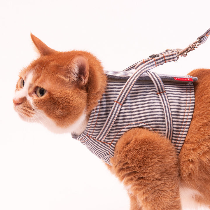 【訳あり10%off】猫に優しいベスト型ハーネス・リード付き　デニム　ヒッコリー【限定モデル】