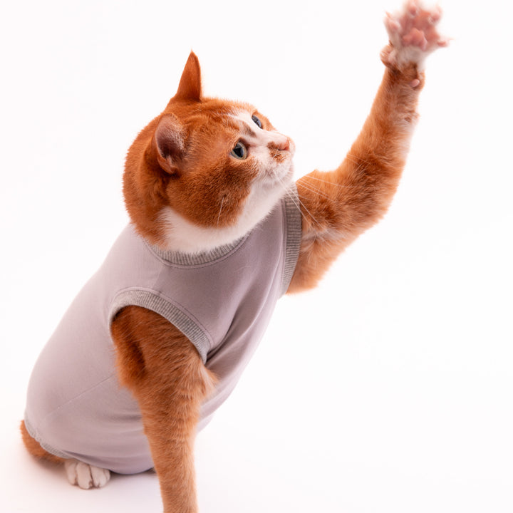 猫に優しい猫服　術後服（ロンパース）【新モデル】 - ぽぽねこ公式オンラインショップ
