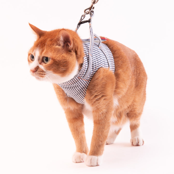【訳あり10%off】猫に優しいベスト型ハーネス・リード付き　デニム　ヒッコリー【限定モデル】