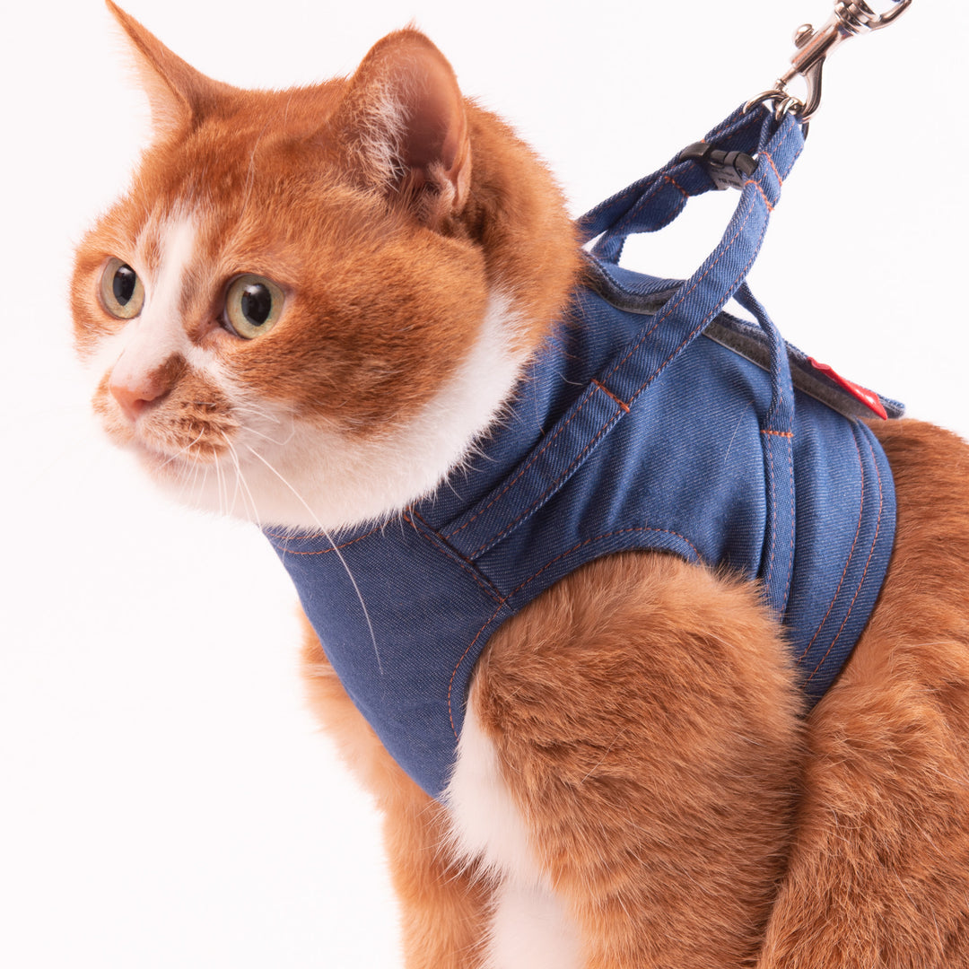 【訳あり】猫に優しいベスト型ハーネス・リード付き