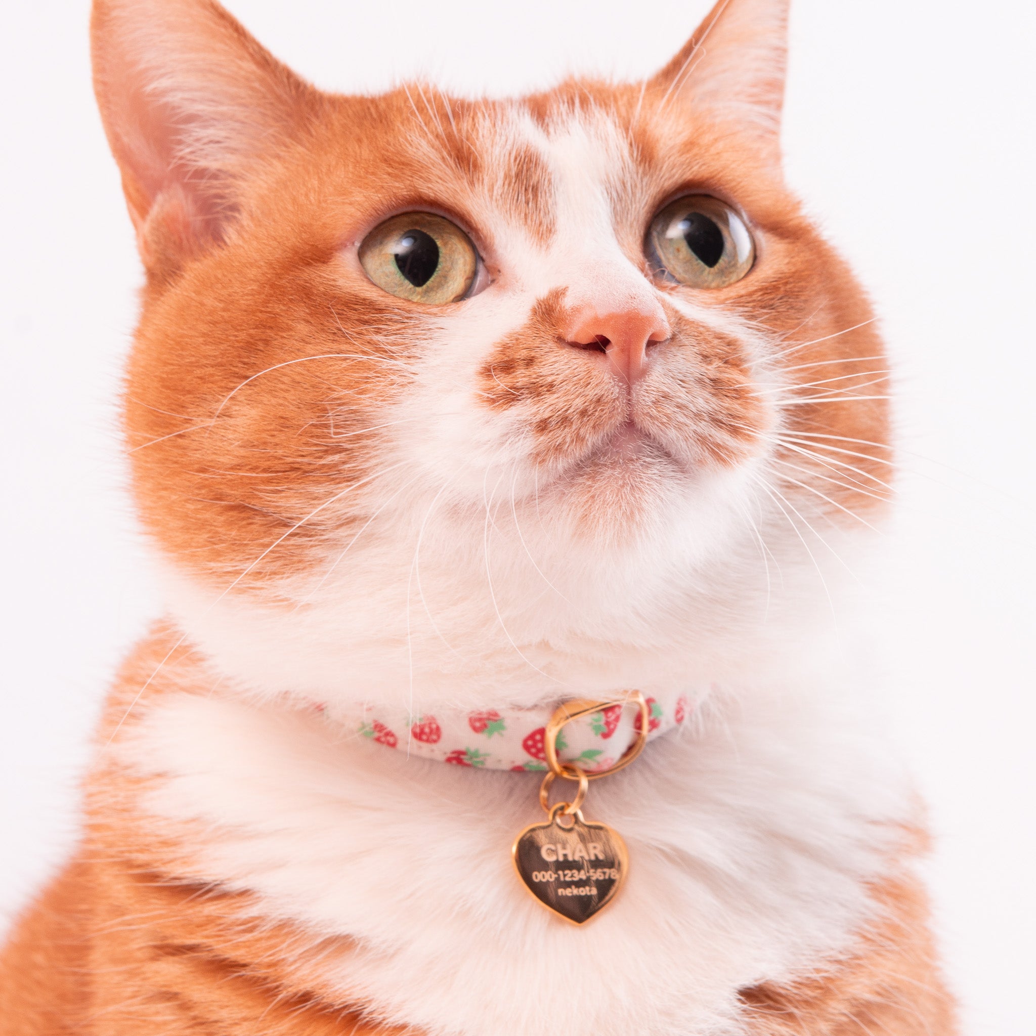 片面］猫用迷子札オールメタル・完全防水 ハート｜ぽぽねこ公式