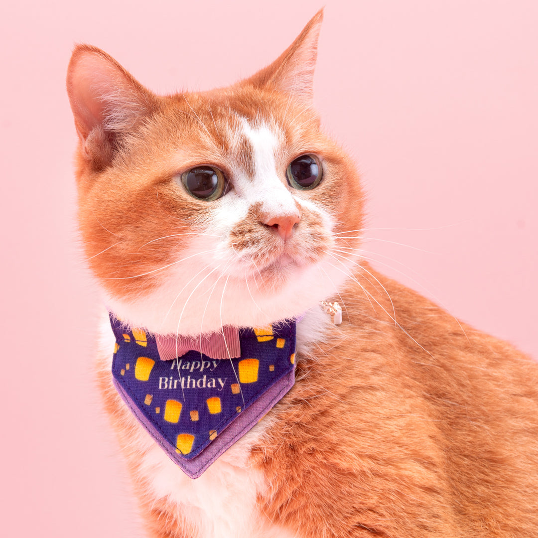 Hare no Hi Cat Collar Happy Birthday Sky Lantern