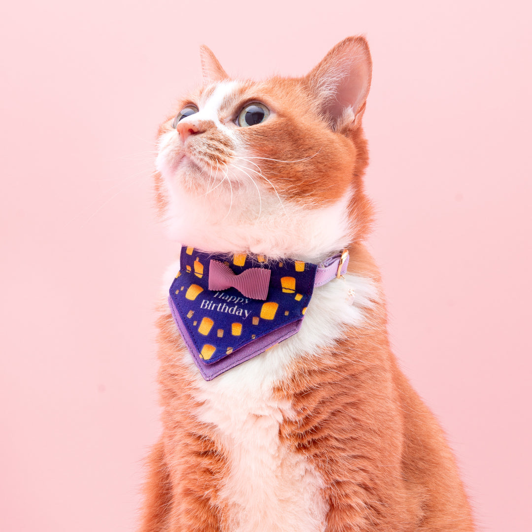 Hare no Hi Cat Collar Happy Birthday Sky Lantern