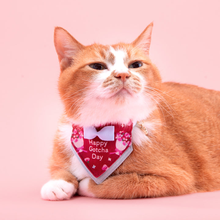 Hare no hi Cat Collar Happy Gacha Day Rose Bouquet