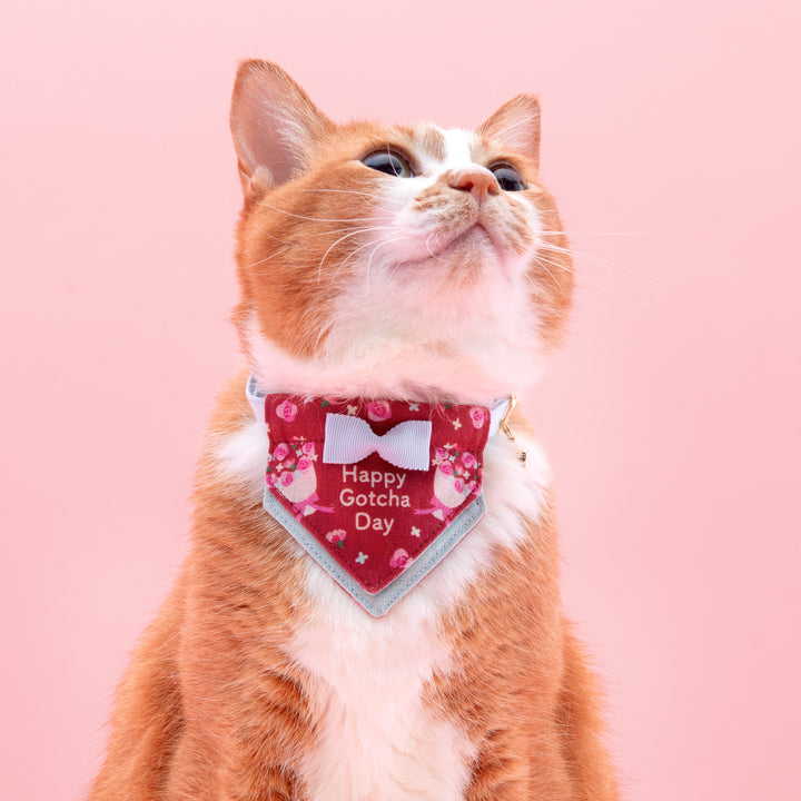 Hare no hi Cat Collar Happy Gacha Day Rose Bouquet