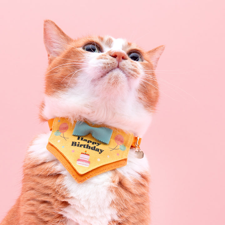Harenohi Cat Collar Happy Birthday Cake
